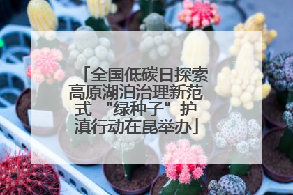 全国低碳日探索高原湖泊治理新范式 “绿种子”护滇行动在昆举办
